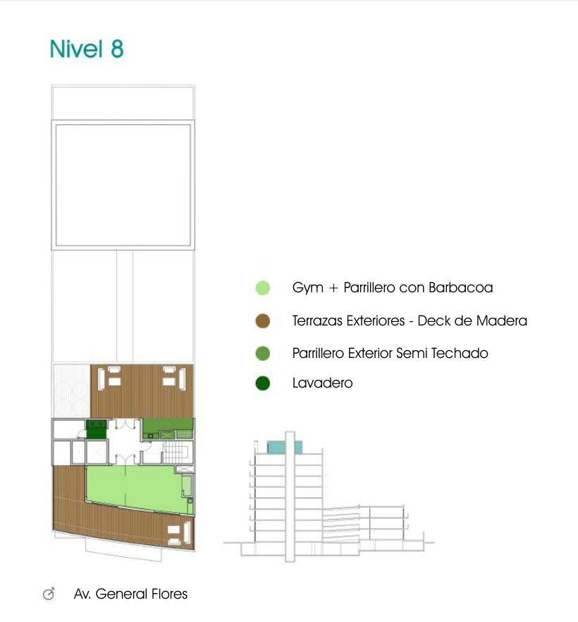 planta-n8